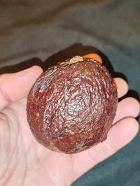 Miniature photo_fev_25_593