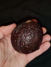Miniature photo_fev_25_592