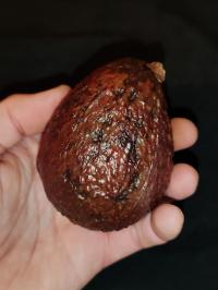 Miniature photo_fev_25_591