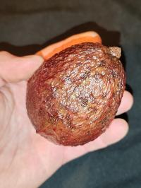 Miniature photo_fev_25_590