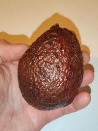Miniature photo_fev_25_577