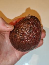 Miniature photo_fev_25_576