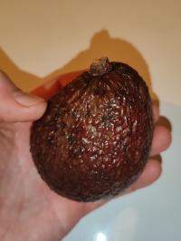 Miniature photo_fev_25_575