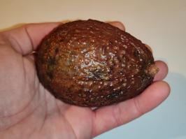 Miniature photo_fev_25_573