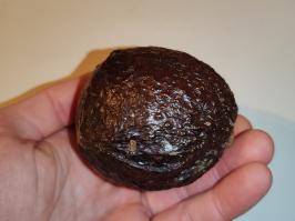 Miniature photo_fev_25_572