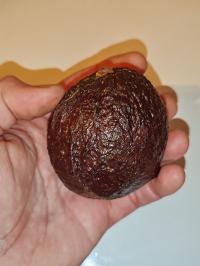 Miniature photo_fev_25_570
