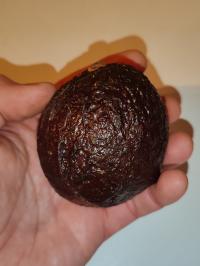 Miniature photo_fev_25_569