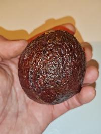 Miniature photo_fev_25_568