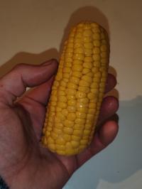 Miniature photo_fev_25_456