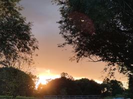 Miniature photo_juil_25_9