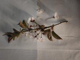 Miniature photo_avr_26_238