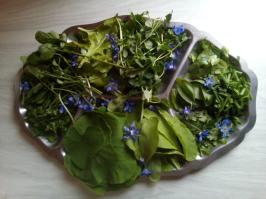 Miniature photo_22_2