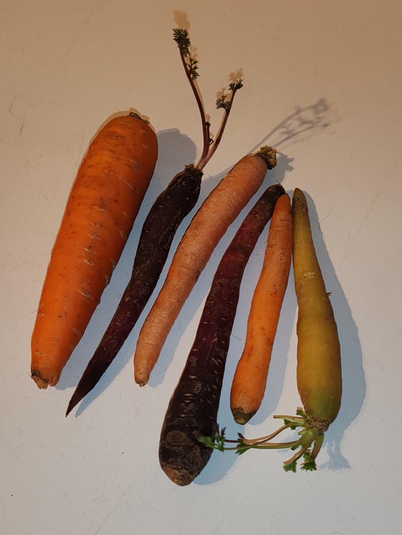 Photo photo_fev_25_2640