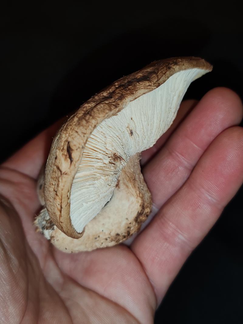 Photo photo_fev_25_1660