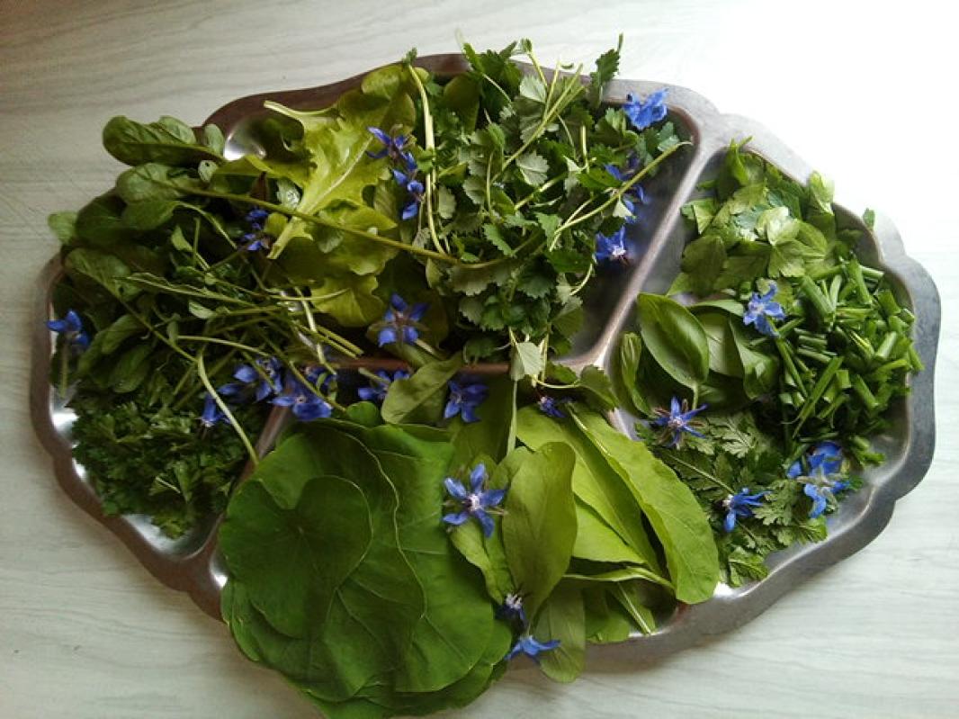Photo photo_22_3