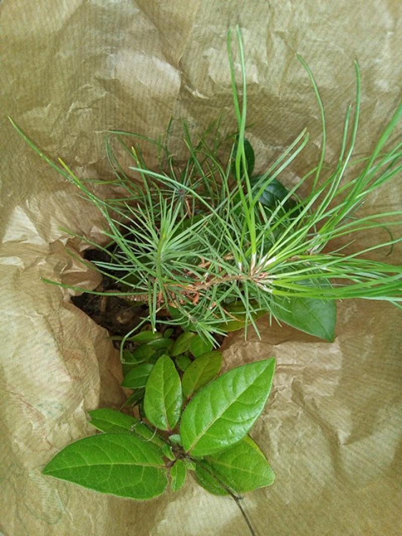Photo photo_22_1