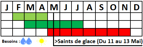 Tableau semis-récolte