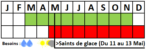 Tableau semis-récolte
