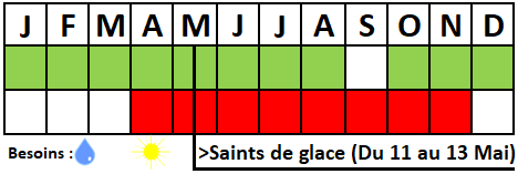 Tableau semis-récolte