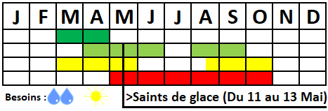 Tableau semis-récolte