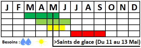 Tableau semis-récolte