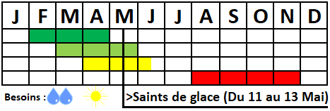 Tableau semis-récolte