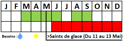Tableau semis-récolte