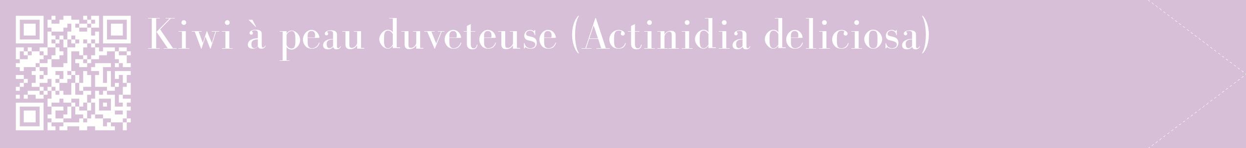 étiquette 2