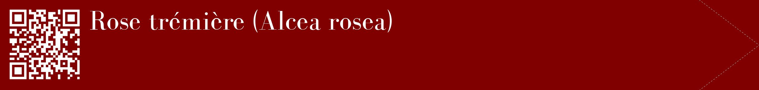 étiquette 2