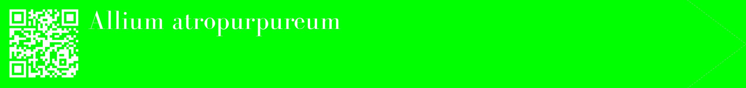 étiquette 2