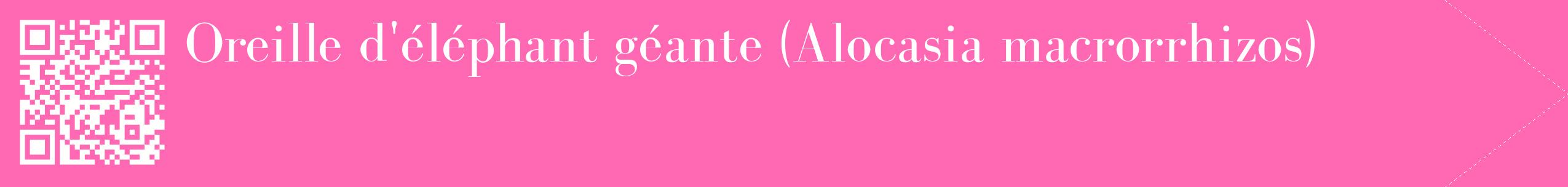 étiquette 2
