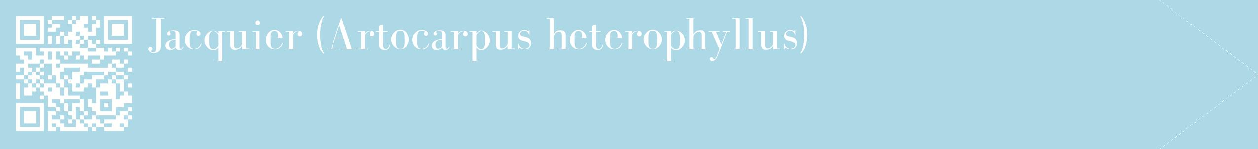 étiquette 2