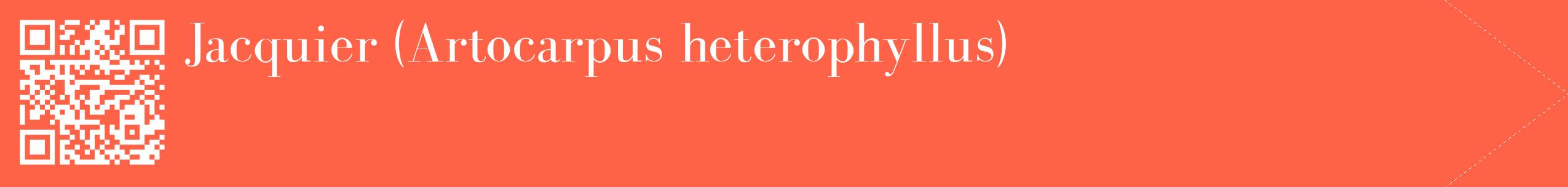 étiquette 2