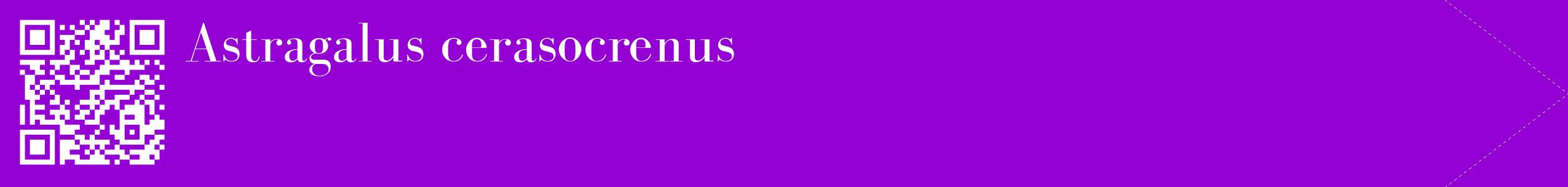 étiquette 2