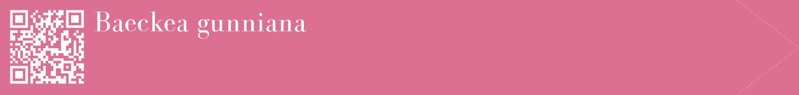 étiquette 2