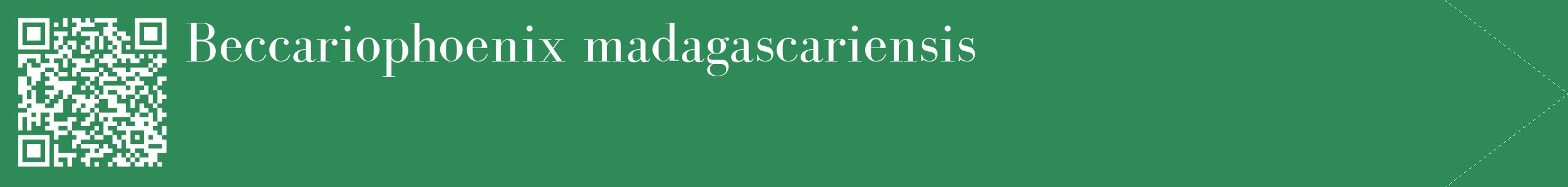 étiquette 2