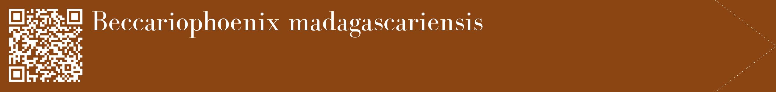 étiquette 2