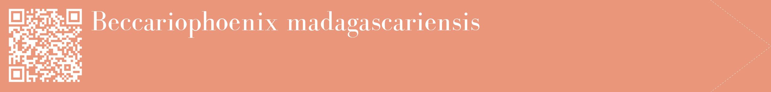 étiquette 2