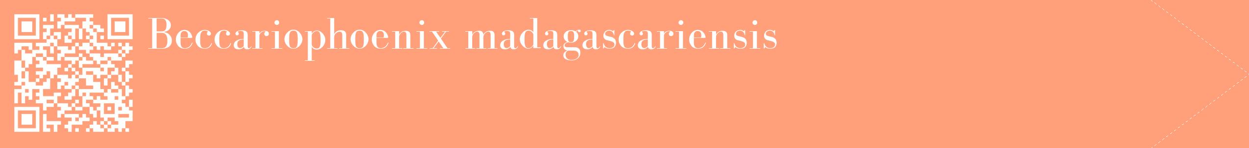 étiquette 2