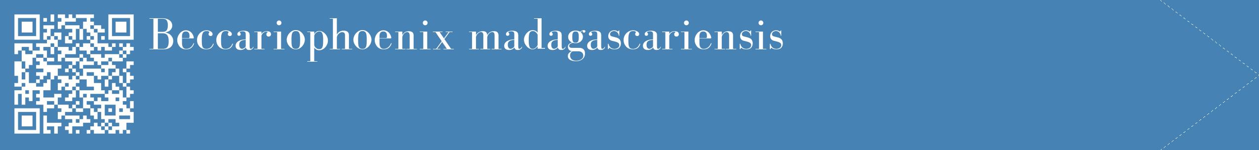 étiquette 2