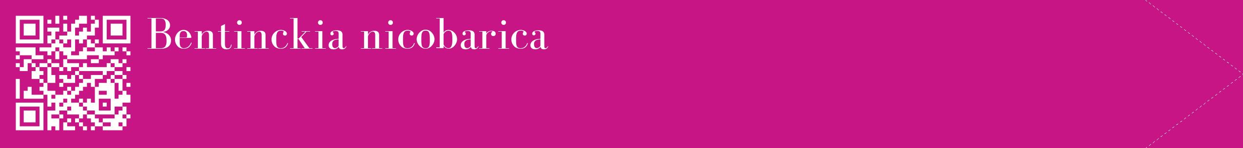 étiquette 2