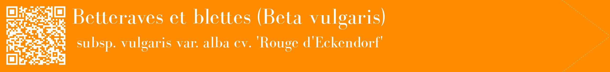 étiquette 2
