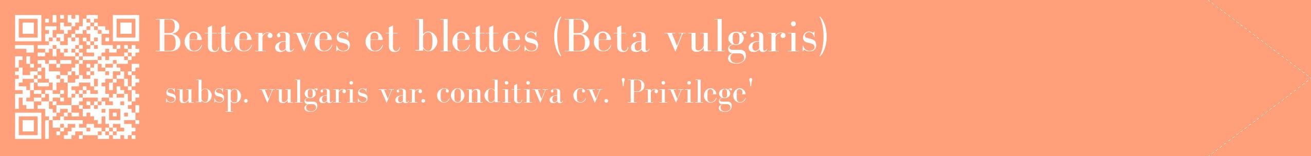 étiquette 2