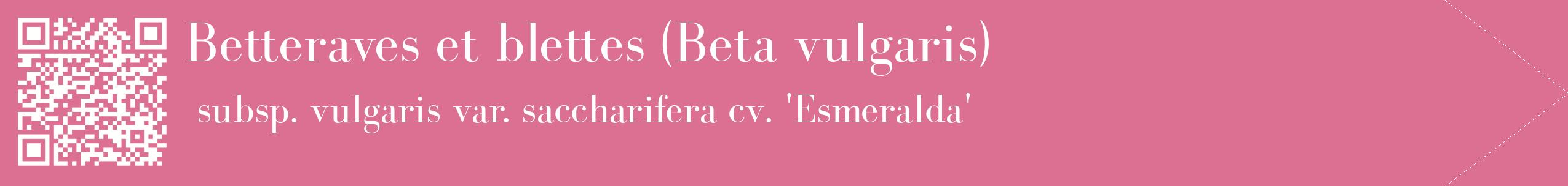 étiquette 2