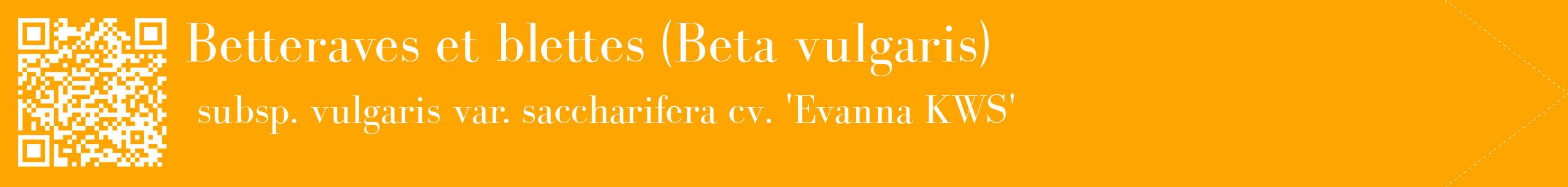 étiquette 2