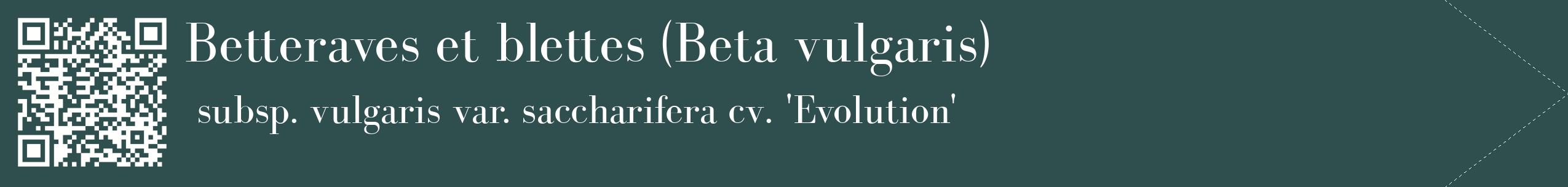 étiquette 2