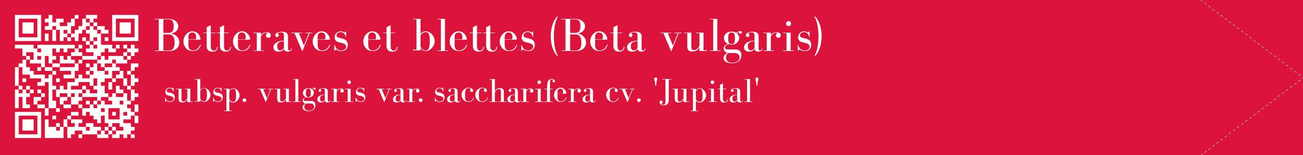 étiquette 2