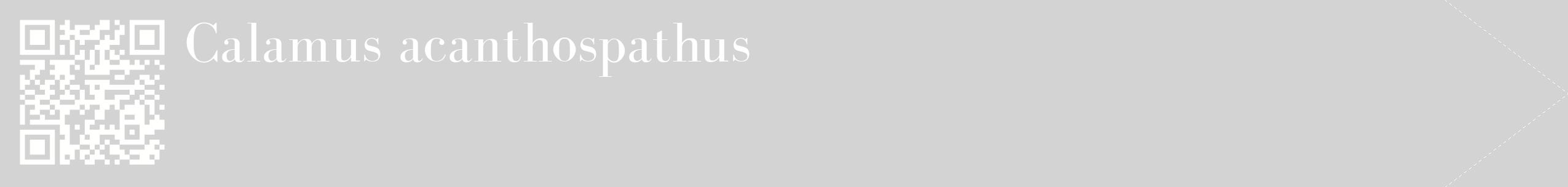 étiquette 2