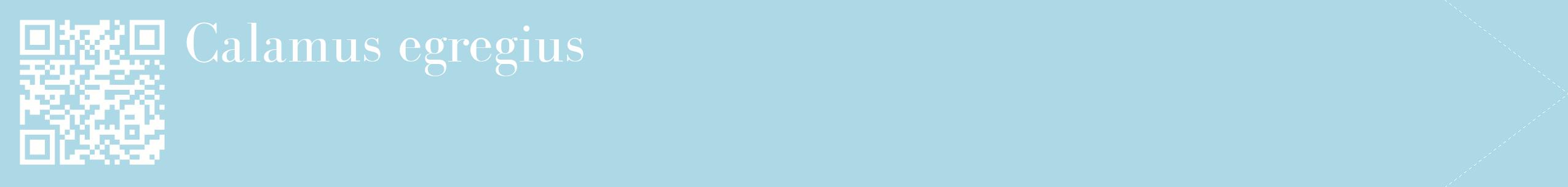 étiquette 2