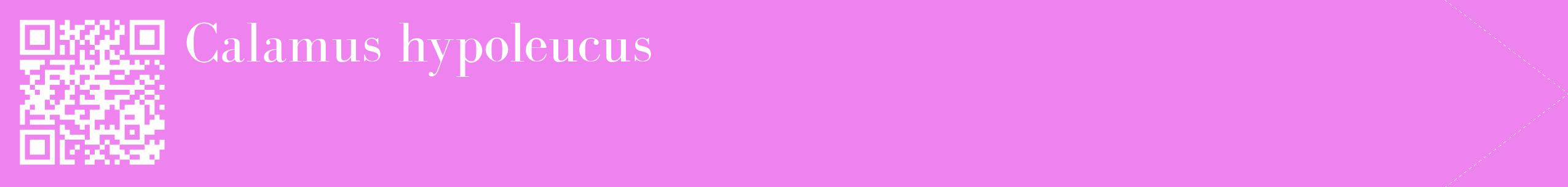 étiquette 2